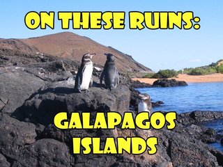 On These Ruins: Galapagos Islands poster