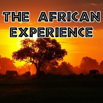 The African Experience poster