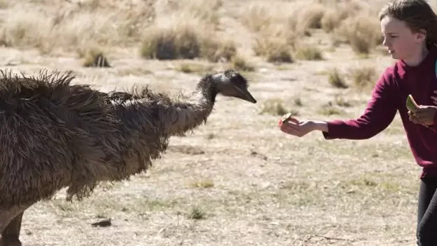 Emu Runner