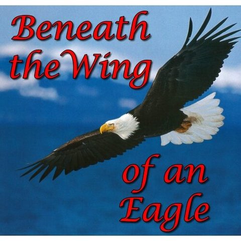 Beneath the Wing of an Eagle poster