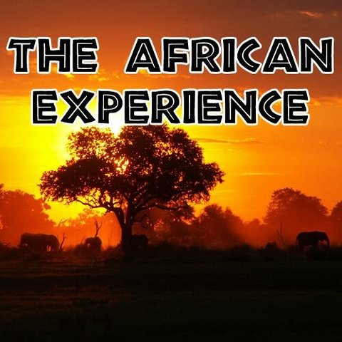 The African Experience poster